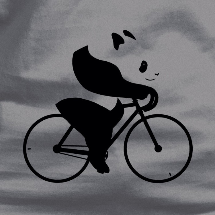 Panda Bici