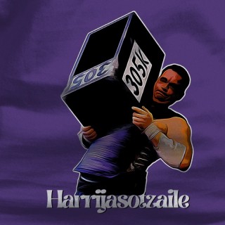 Harrijasotsaile