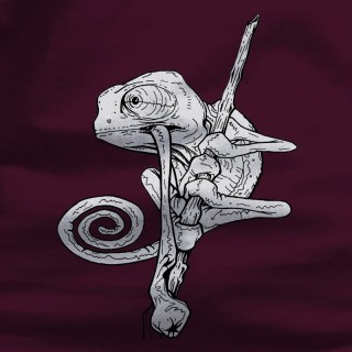 Camaleon