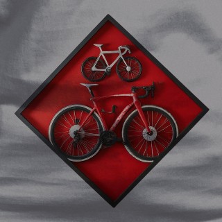 Cuadro Ciclista
