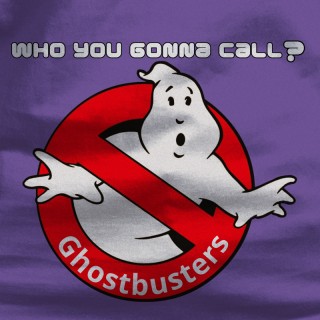 Who You Gonna Call