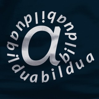 A Bildua